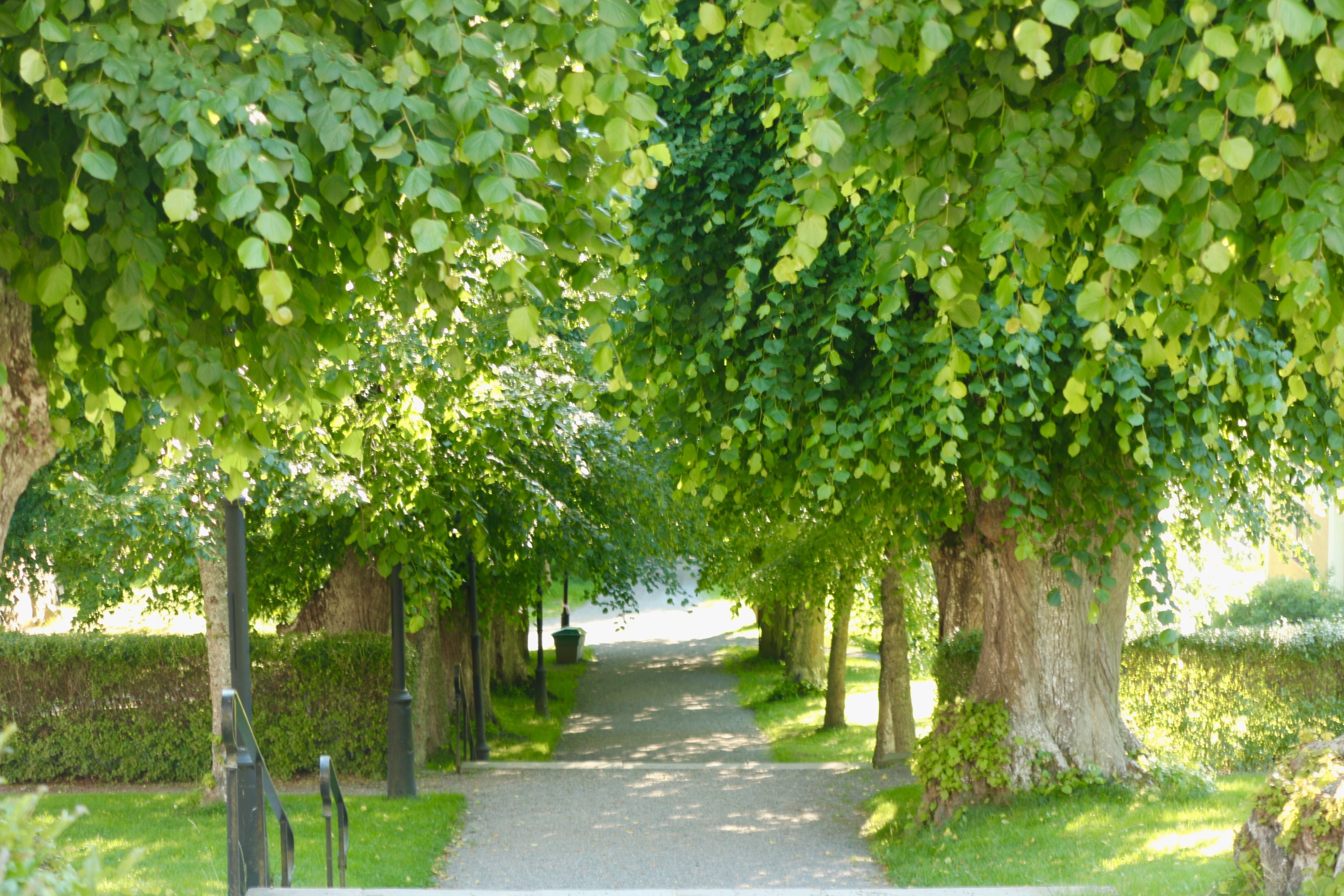 Görvälns Slottspark