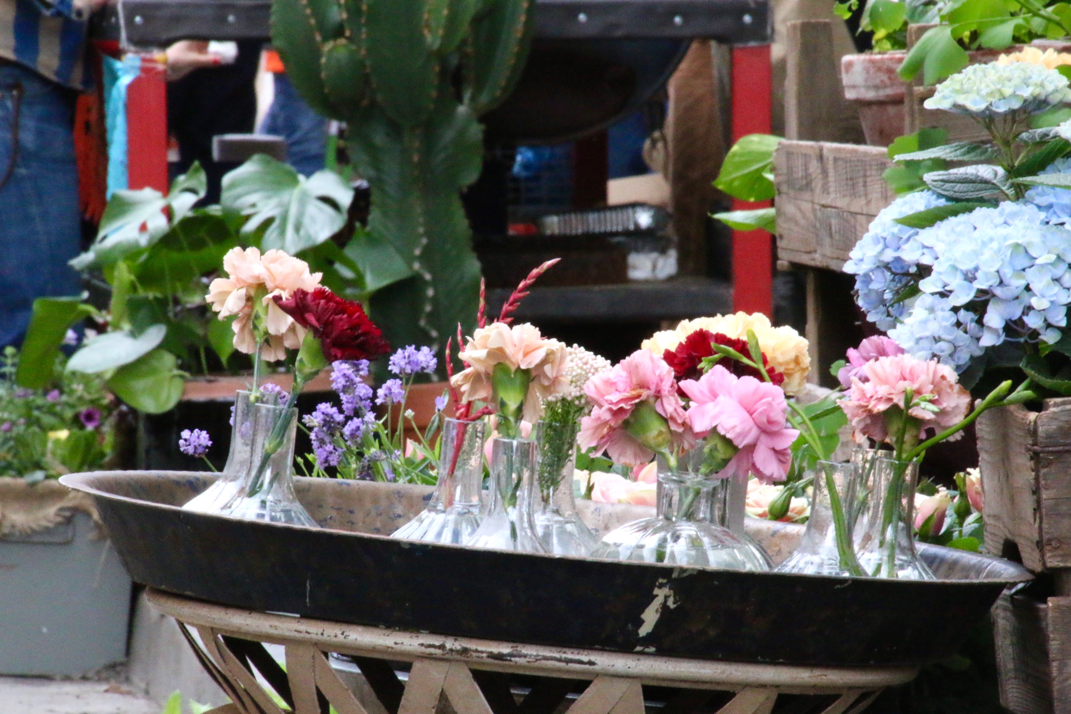 Jonas Cramby blommor på gatan