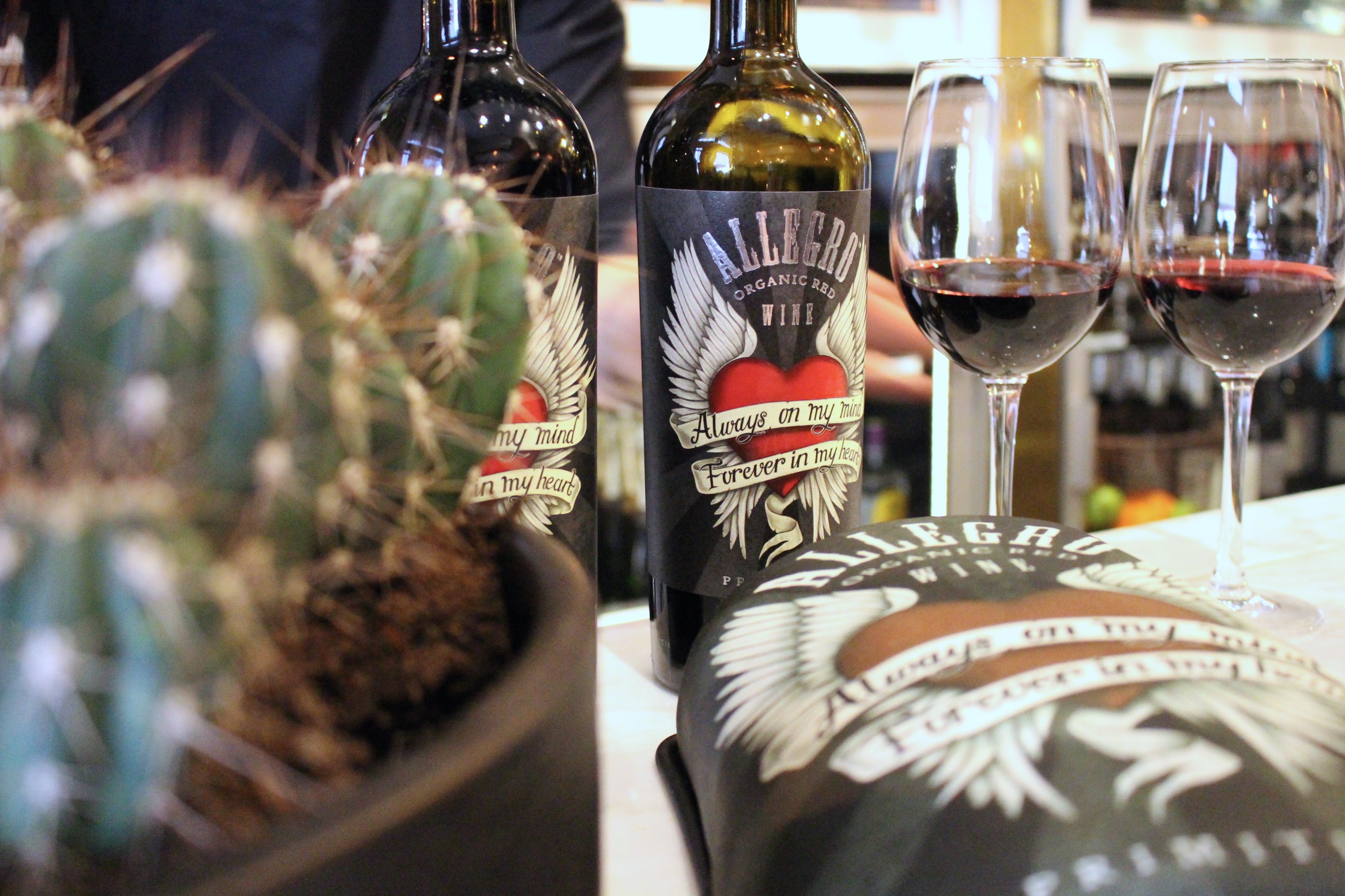 Allegro Primitivo med kaktusar och tårta